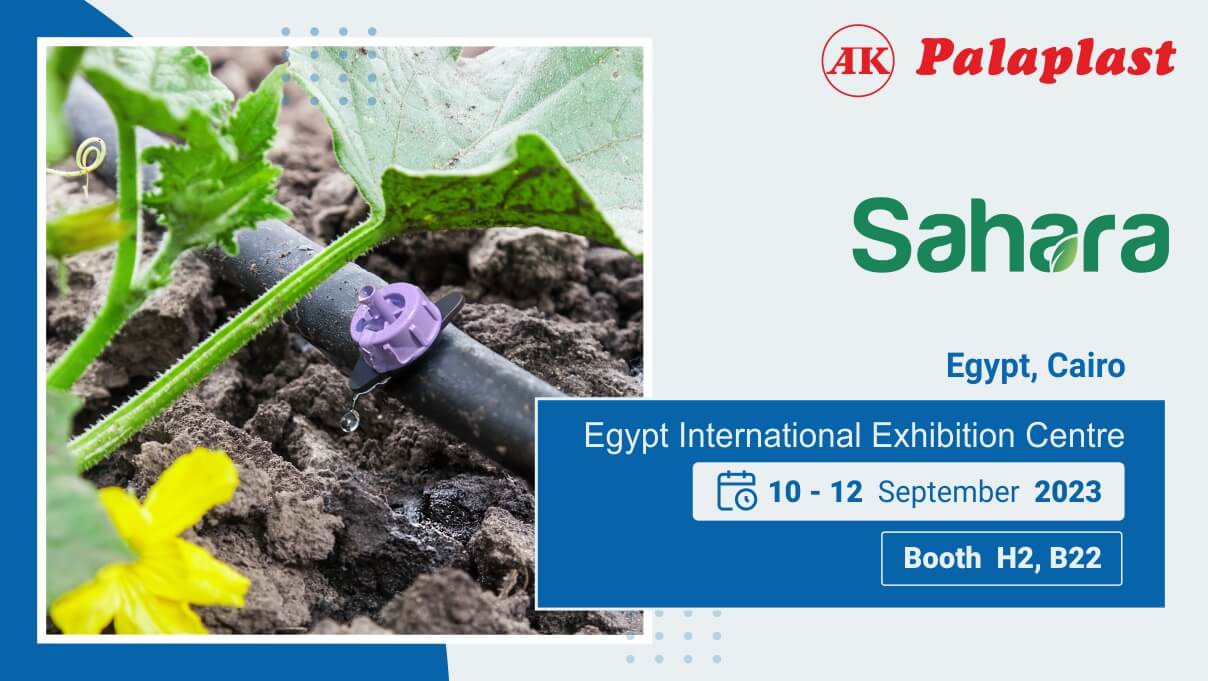 Έκθεση: Sahara 2023 Exhibition